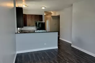 1943 W 48th St, Chicago, IL 60609 - Photo 19