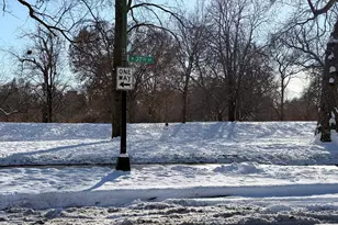 3643 S Hamilton Ave, Chicago, IL 60609 - Photo 29