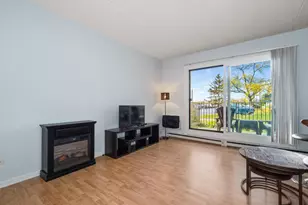 9098 W Terrace Dr, Niles, IL 60714 - Photo 11