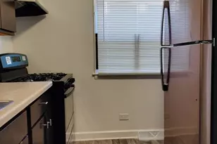 7910 S Muskegon Ave, Chicago, IL 60617 - Photo 15