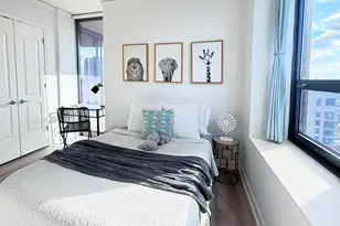 450 E Waterside Dr, Chicago, IL 60601 - Photo 11