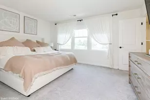 24518 W Alexis Ln, Plainfield, IL 60585 - Photo 9