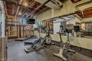 729 N Sangamon St, Chicago, IL 60642 - Photo 23