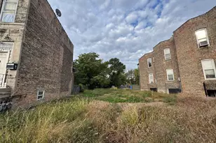 338 N Hamlin Ave, Chicago, IL 60624 - Photo 3