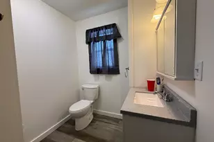 44 Lafayette St, Saunemin, IL 61769 - Photo 9