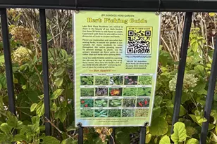 3930 N Pine Grove Ave, Chicago, IL 60613 - Photo 21