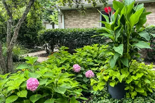 [Address not provided], Park Ridge, IL 60068 - Photo 27