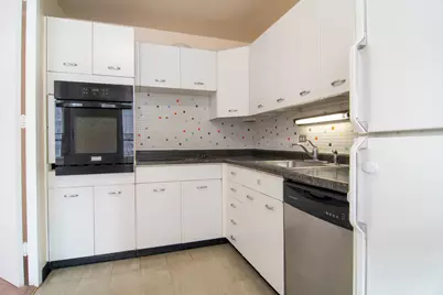 4800 S Chicago Beach Drive #412N, Chicago, IL 60615 - Photo 3
