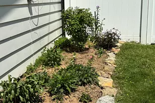 516 Christopher St, Morrison, IL 61270 - Photo 29