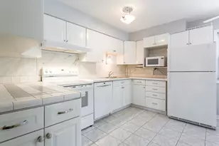 1301 N Northwest Hwy, Park Ridge, IL 60068 - Photo 13