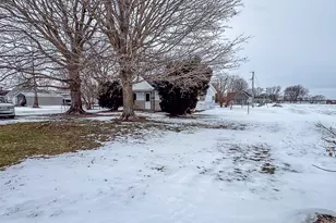 307 N Vine St, Armington, IL 61721 - Photo 3