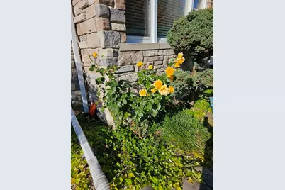 6372 N Sayre Avenue, Chicago, IL 60631 - Photo 43