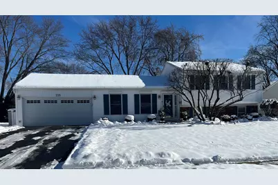 225 Wickham Drive, Schaumburg, IL 60194 - Photo 1