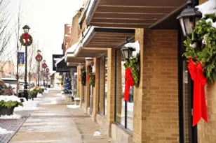 24 Winners Cup Cir, Wheaton, IL 60189 - Photo 45