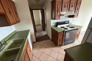 352 N Birch Dr, Manteno, IL 60950 - Photo 5