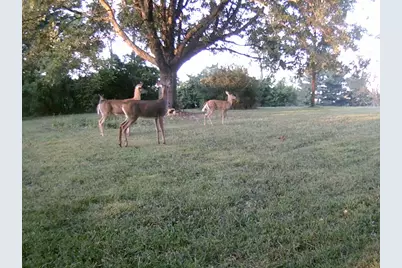 11116 Seeman Road, Huntley, IL 60142 - Photo 49