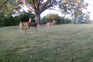 11116 Seeman Rd, Huntley, IL 60142 - Photo 49