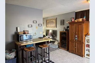 909 Carlisle Drive, Rochelle, IL 61068 - Photo 17