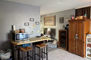 909 Carlisle Dr, Rochelle, IL 61068 - Photo 17