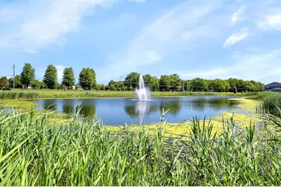 13720 S Palmetto Drive, Plainfield, IL 60544 - Photo 23