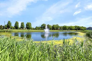 13720 S Palmetto Dr, Plainfield, IL 60544 - Photo 23