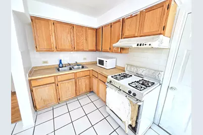 238 W 31st Street #4E, Chicago, IL 60616 - Photo 3