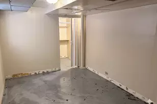 5427 S Aberdeen St, Chicago, IL 60609 - Photo 43