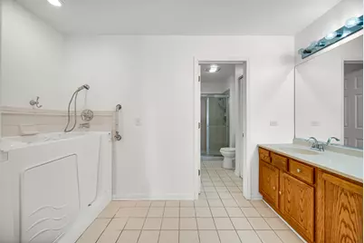 12 Iliad Drive, Tinley Park, IL 60477 - Photo 11