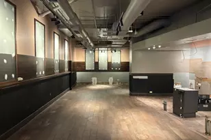 111 E Chestnut St, Chicago, IL 60611 - Photo 3