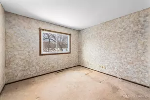 4452 Burgundy Pl, Lisle, IL 60532 - Photo 17
