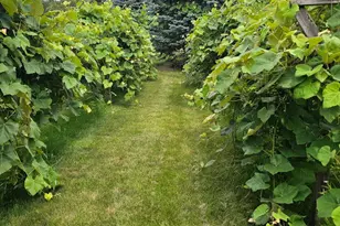 4220 Northgate Dr, Spring Grove, IL 60081 - Photo 93