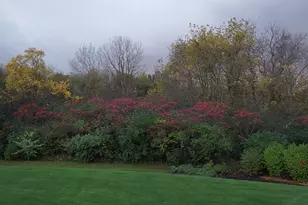 4220 Northgate Dr, Spring Grove, IL 60081 - Photo 93