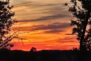 4220 Northgate Dr, Spring Grove, IL 60081 - Photo 95