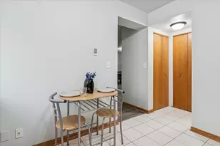 8710 W Evelyn Ln, Chicago, IL 60656 - Photo 13