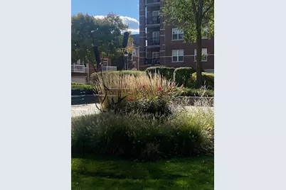 440 W Mahogany Court #312, Palatine, IL 60067 - Photo 33