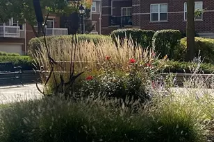 440 W Mahogany Ct, Palatine, IL 60067 - Photo 33