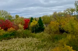 440 W Mahogany Ct, Palatine, IL 60067 - Photo 15