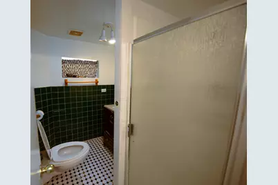 5019 W Carmen Avenue, Chicago, IL 60630 - Photo 23