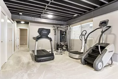 1613 S Ruble Street, Chicago, IL 60616 - Photo 23