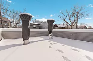 1613 S Ruble St, Chicago, IL 60616 - Photo 29