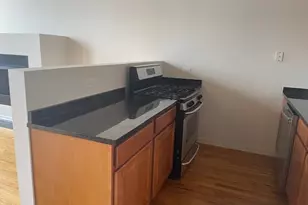 1645 W Ogden Ave, Chicago, IL 60612 - Photo 19