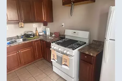 217 N Kostner Avenue, Chicago, IL 60624 - Photo 9