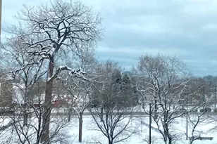 1850 N Clark St, Chicago, IL 60614 - Photo 13