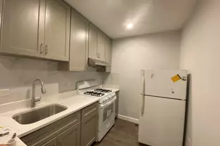 2569 S Emerald Ave, Chicago, IL 60616 - Photo 11