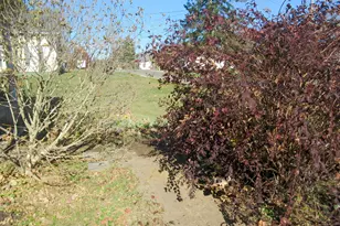 504 S Seminary St, Georgetown, IL 61846 - Photo 15