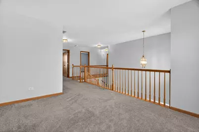 1509 Donegal Drive, Minooka, IL 60447 - Photo 21