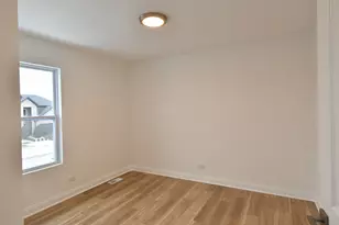 20873 Chesson St, Lynwood, IL 60411 - Photo 15