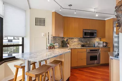 1410 N State Parkway #10B, Chicago, IL 60610 - Photo 13