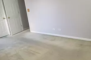 124 E Bailey Rd, Naperville, IL 60565 - Photo 13