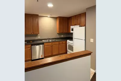 2264 Abbeywood Drive #B, Lisle, IL 60532 - Photo 5